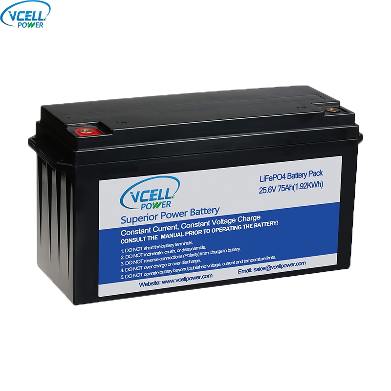 Batteria LiFePO4 a ciclo profondo da 24 V 75 Ah