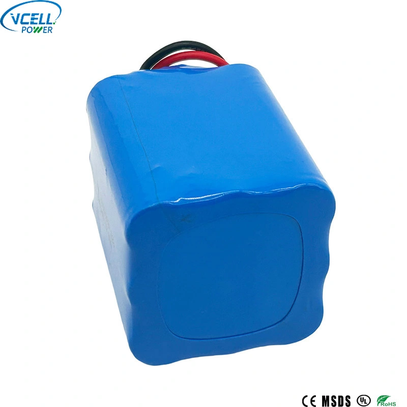 Pacco batteria LiFePo4 IFR18650 da 9,6 V 6000 mAh